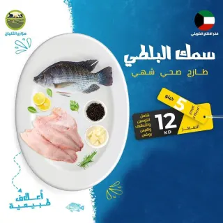 البوكس الصغير - سمك البلطي